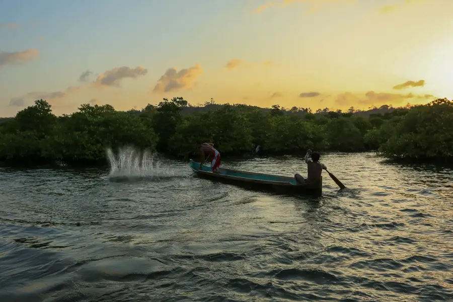 Fisherman casting a net from a canoe at sunset by mangroves