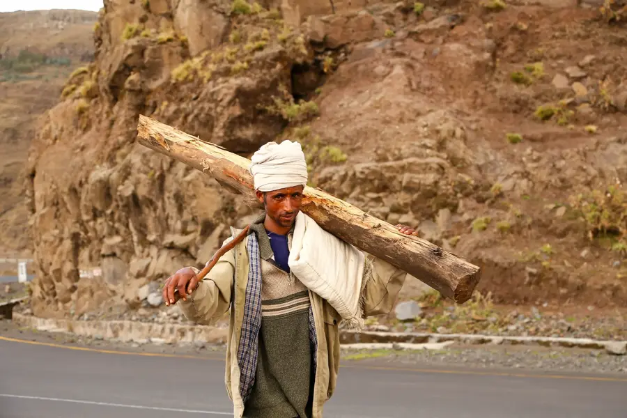 Man carrying a wooden log along a mountain road