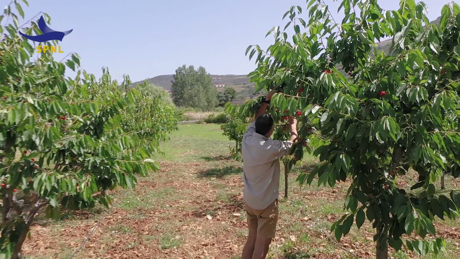 From East to West — film by One Call Production